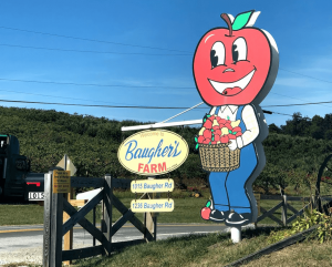 baugher's apple orchard